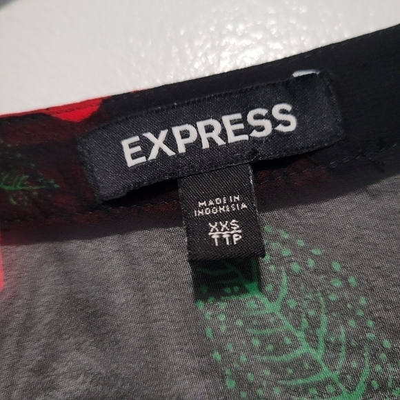 Express Rose Print Sheer V-neckline Long Sleeve Blouses Size XXS - Picture 7 of 9